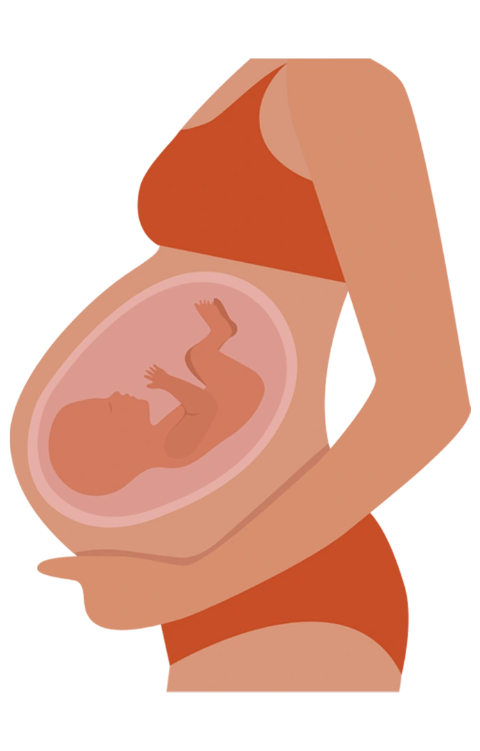 Gynaecology & Women's Health
